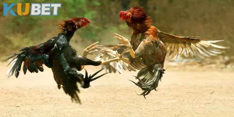 Luôn thu hút người chơi nhờ nhiều điểm độc đáo