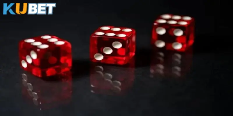 Chiến lược đặt cược tài xỉu tăng xác suất chiến thắng