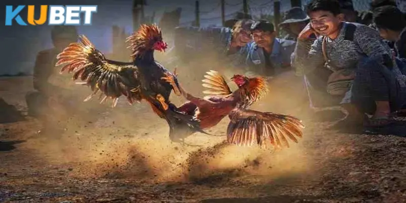 Danh tính của 2 sư kê trong trận chiến huyền thoại 24 tỷ