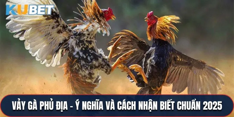 Vảy Gà Phủ Địa - Ý Nghĩa Và Cách Nhận Biết Chuẩn 2025