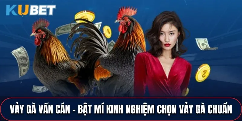 Vảy Gà Vấn Cán - Bật Mí Kinh Nghiệm Chọn Vảy Gà Chuẩn