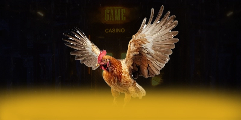 LC88 - Cổng giải trí được đánh giá cao trên thị trường