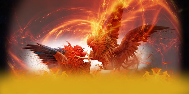 988bet – Cổng trò chơi đẳng cấp, được cộng đồng game thủ tin tưởng.