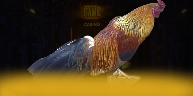 DAGA88 - Nhìn lại toàn bộ ưu điểm dành cho người chơi.