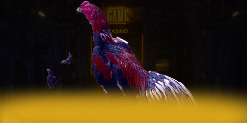 DAGA88 - Nền tảng cá cược cung cấp hàng trăm tựa game đẳng cấp trong cộng đồng game thủ – Tìm hiểu DAGA88 DAGA88 - Nền tảng cá cược cung cấp hàng trăm tựa game đẳng cấp trong cộng đồng game thủ – Tìm hiểu DAGA88