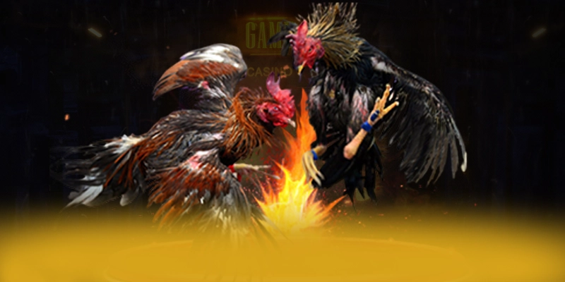 DAGA88 – Sân chơi uy tín, được cộng đồng game thủ tin tưởng. DAGA88 – Sân chơi uy tín, được cộng đồng game thủ tin tưởng.