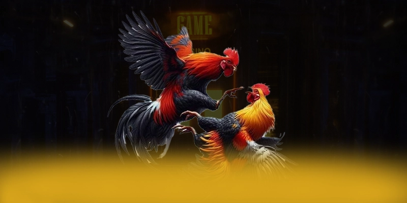 tỷ lệ kèo bóng đá - Sân chơi hấp dẫn trên thị trường – Khám phá ưu đãi hot của tỷ lệ kèo bóng đá