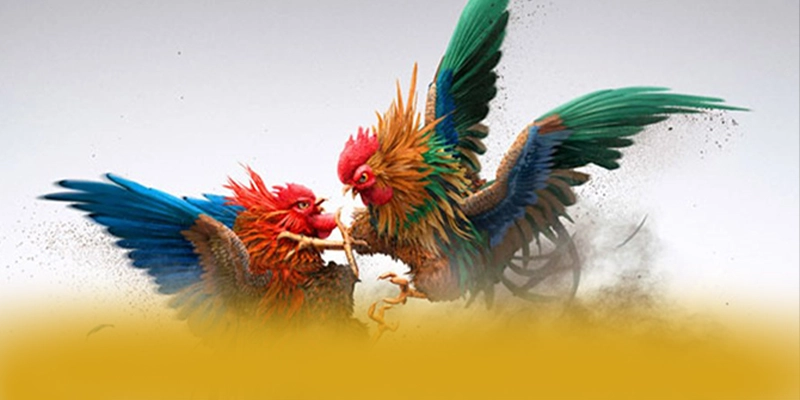 SUNWIN - Thương hiệu game trực tuyến sở hữu kho game phong phú 2025 – Khám phá thế giới giải trí tại SUNWIN SUNWIN - Thương hiệu game trực tuyến sở hữu kho game phong phú 2025 – Khám phá thế giới giải trí tại SUNWIN