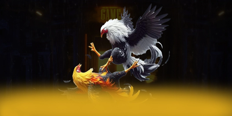 CONGA6789 - Trang game sở hữu top trò chơi nổi bật trên thị trường – Khám phá CONGA6789