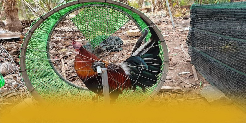 Cập nhật thông tin về UU88 - Thương hiệu có thưởng lớn được quan tâm
Cập nhật thông tin về UU88 - Thương hiệu có thưởng lớn được quan tâm