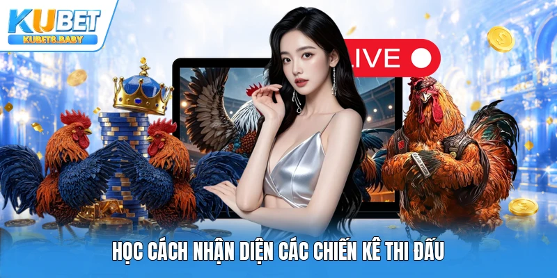 Học cách nhận diện các chiến kê thi đấu
